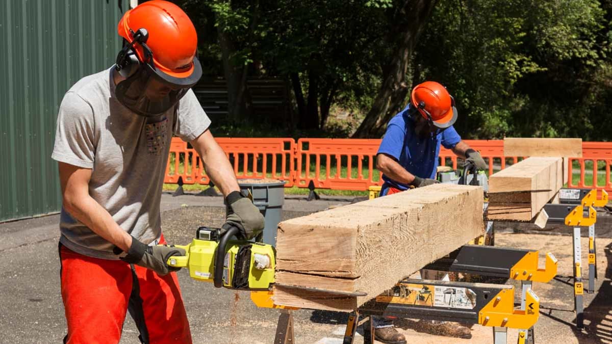 Best Chainsaws of 2023 Consumer Reports